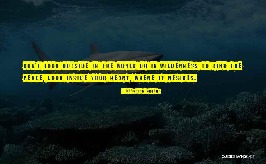 Look Inside Yourself For Happiness Quotes By Debasish Mridha