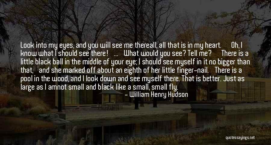 Look Into Her Eyes Quotes By William Henry Hudson