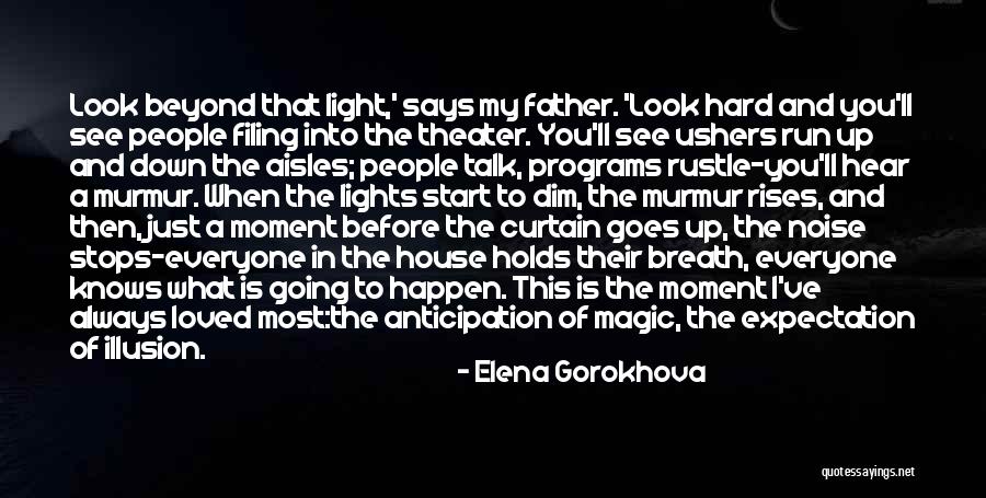 Look Into The Light Quotes By Elena Gorokhova