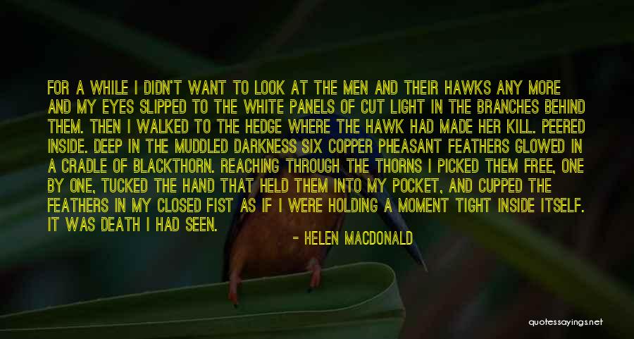 Look Into The Light Quotes By Helen Macdonald