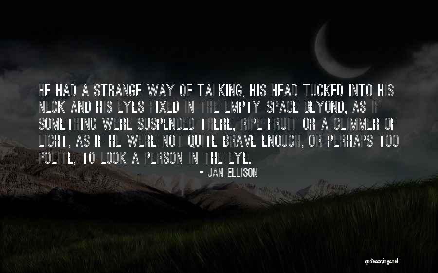 Look Into The Light Quotes By Jan Ellison