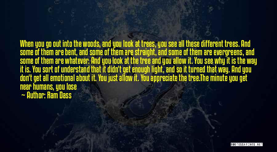 Look Into The Light Quotes By Ram Dass