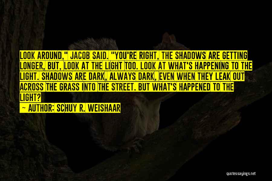 Look Into The Light Quotes By Schuy R. Weishaar