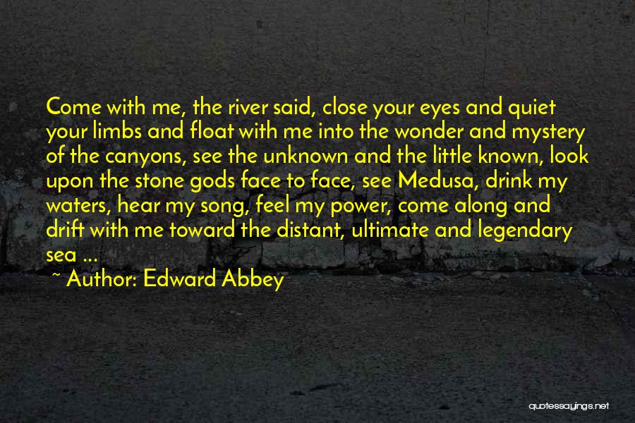 Look Into The Sea Quotes By Edward Abbey