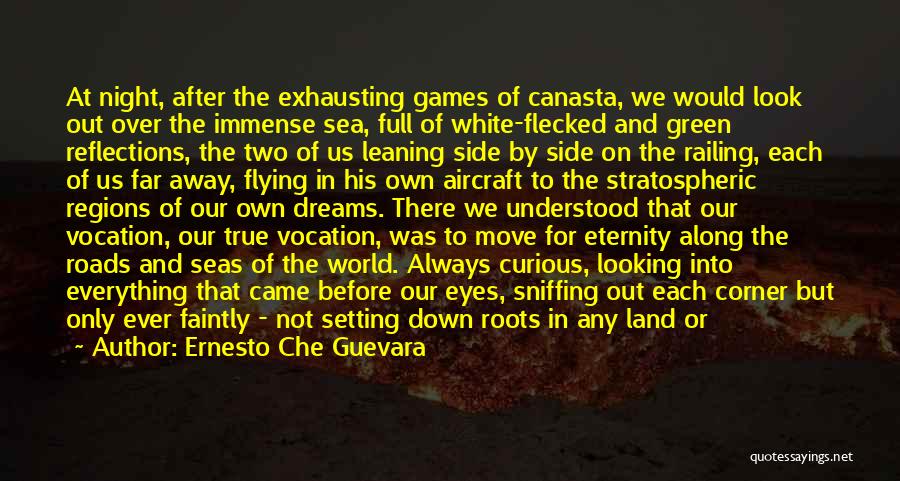 Look Into The Sea Quotes By Ernesto Che Guevara