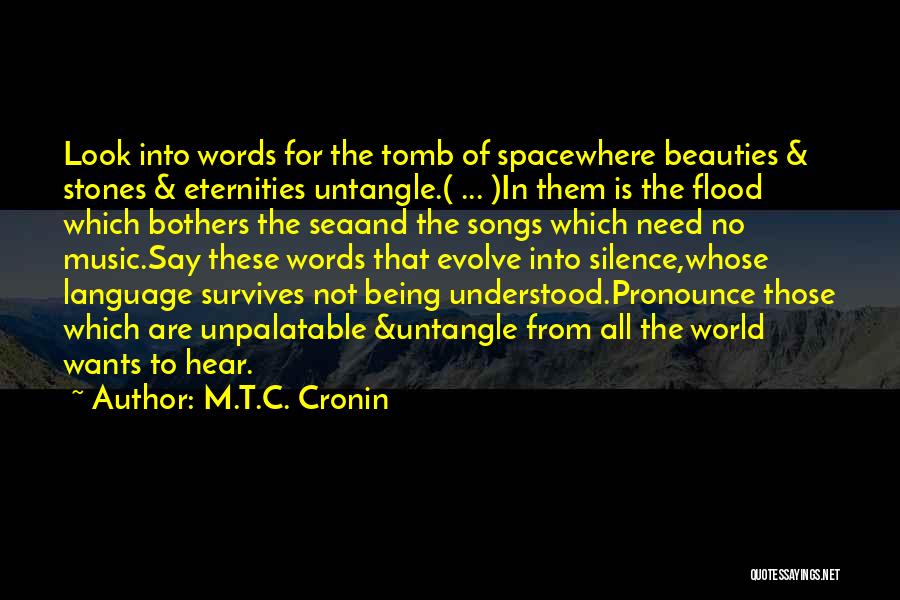 Look Into The Sea Quotes By M.T.C. Cronin