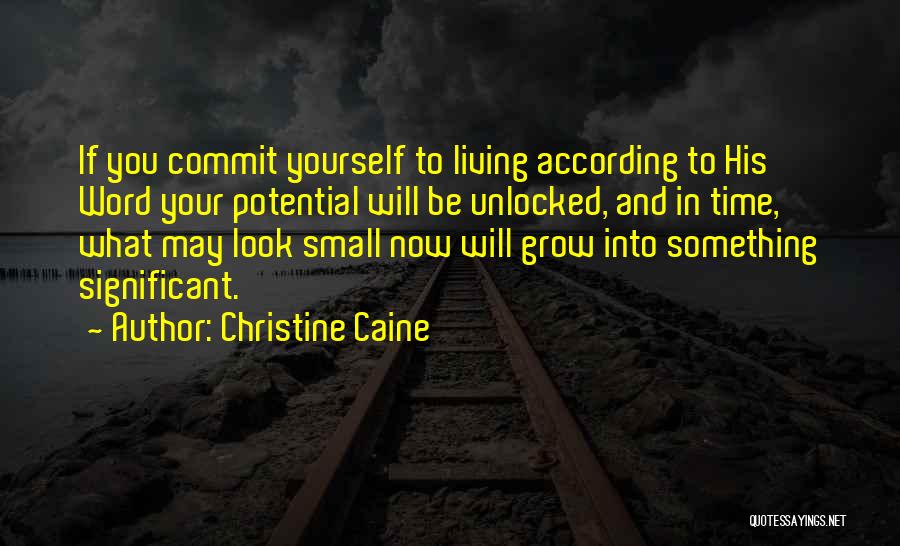 Look Into Yourself Quotes By Christine Caine
