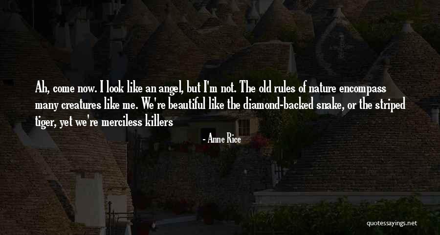 Look Like Angel Quotes By Anne Rice Look Like Angel Quotes By Anne Rice