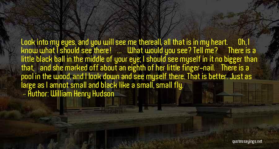 Look Me Into My Eyes Quotes By William Henry Hudson