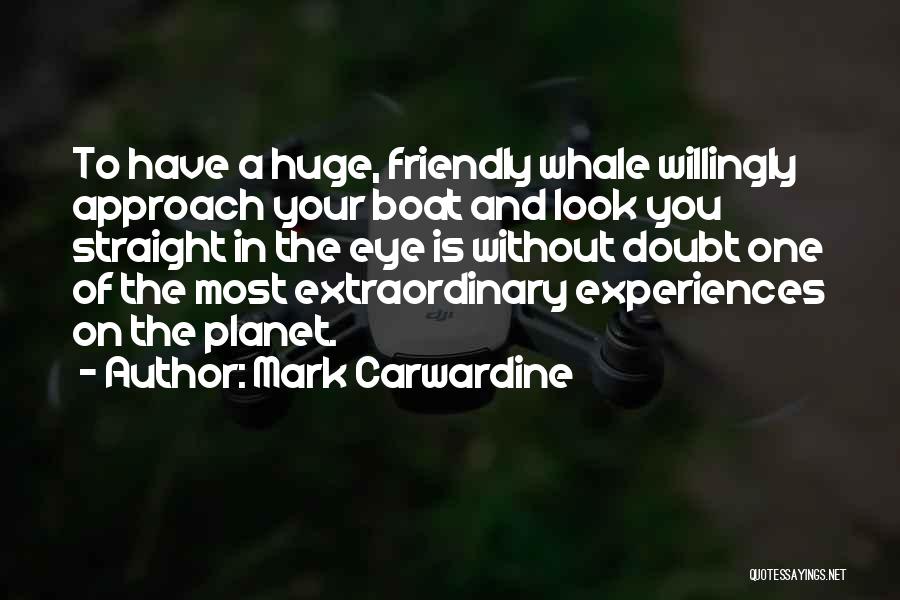Look Me Straight In The Eye Quotes By Mark Carwardine