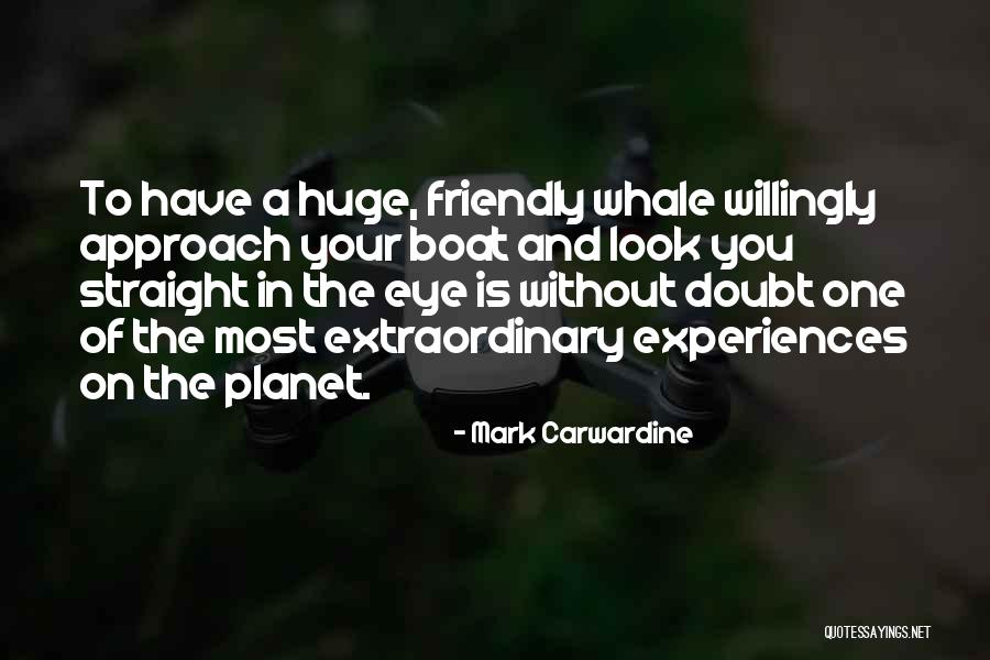 Look Me Straight In The Eye Quotes By Mark Carwardine Look Me Straight In The Eye Quotes By Mark Carwardine