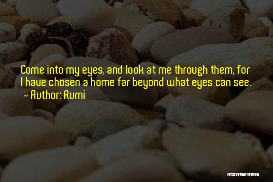 Look Me Through My Eyes Quotes By Rumi