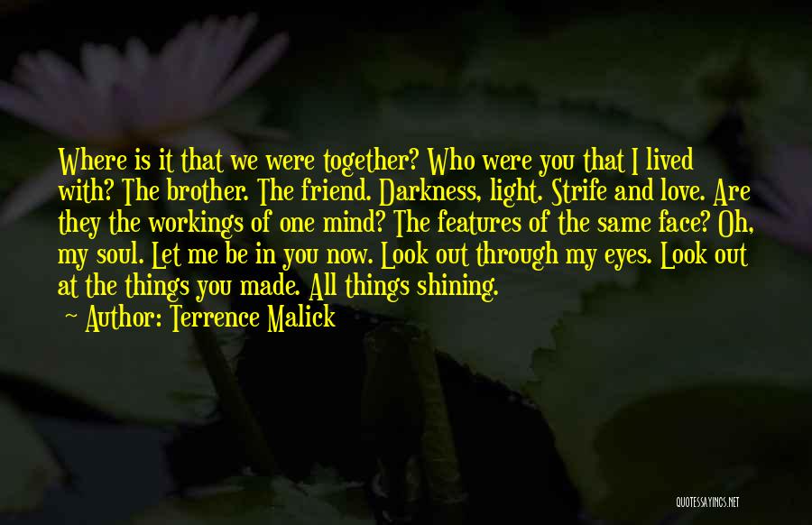 Look Me Through My Eyes Quotes By Terrence Malick