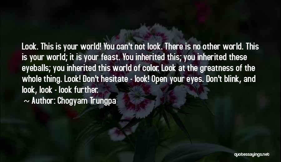 Look No Further Quotes By Chogyam Trungpa