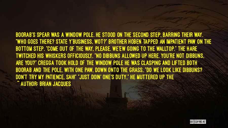 Look Out The Window Quotes By Brian Jacques