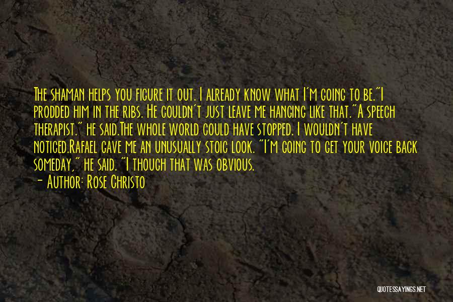Look Out World Quotes By Rose Christo