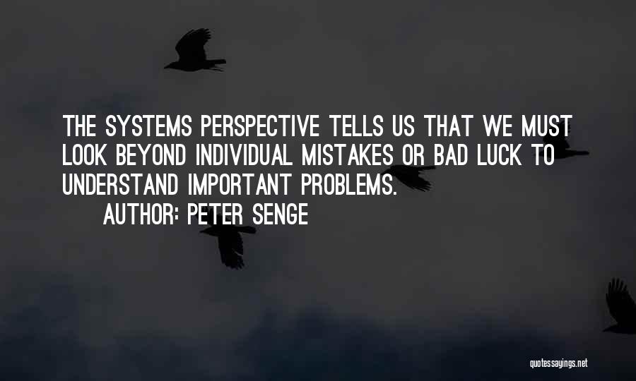 Look Past Mistakes Quotes By Peter Senge