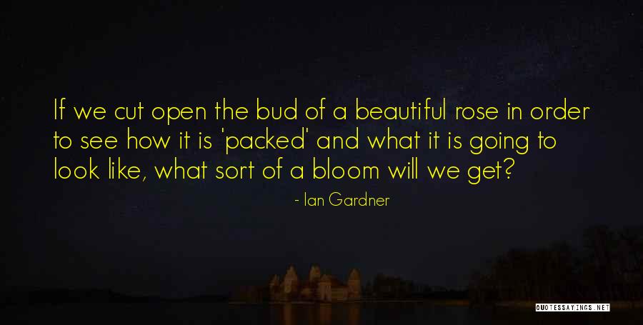 Look To See Quotes By Ian Gardner