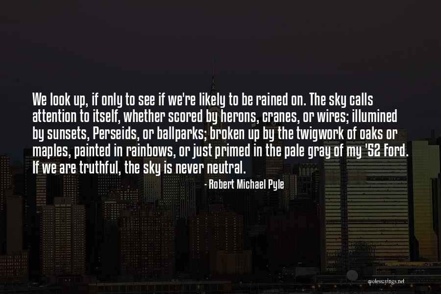 Look To See Quotes By Robert Michael Pyle Look To See Quotes By Robert Michael Pyle
