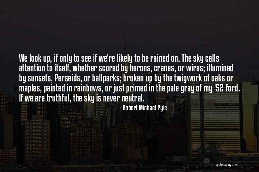 Look To See Quotes By Robert Michael Pyle