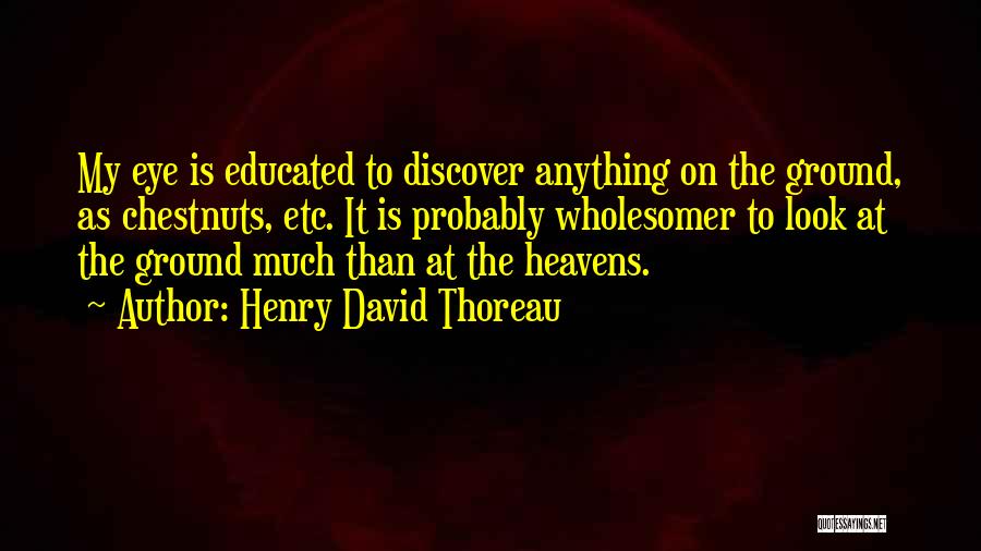 Look To The Heavens Quotes By Henry David Thoreau