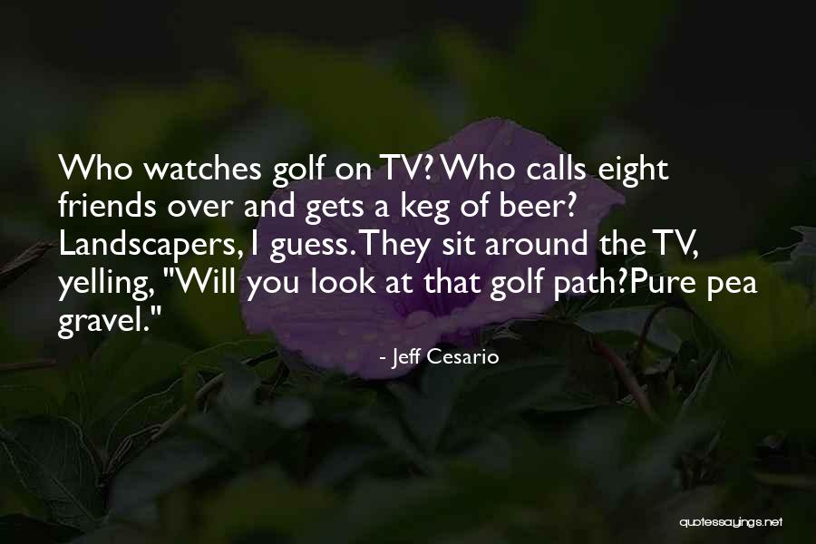 Look Tv Quotes By Jeff Cesario Look Tv Quotes By Jeff Cesario