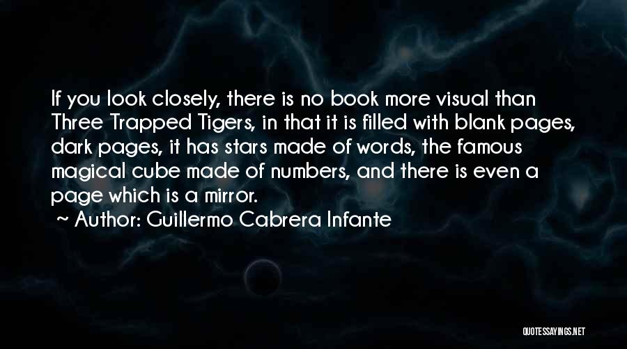 Look Up Famous Quotes By Guillermo Cabrera Infante