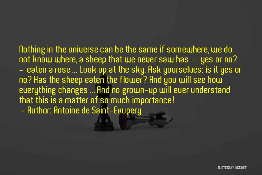 Look Up Sky Quotes By Antoine De Saint-Exupery