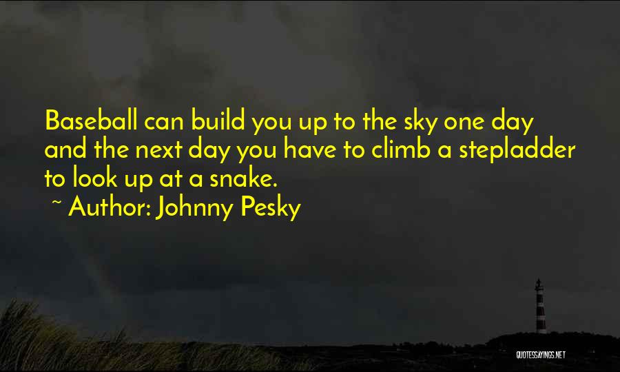 Look Up Sky Quotes By Johnny Pesky