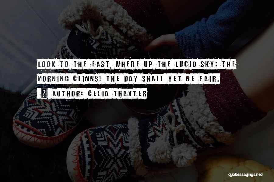 Look Up The Sky Quotes By Celia Thaxter