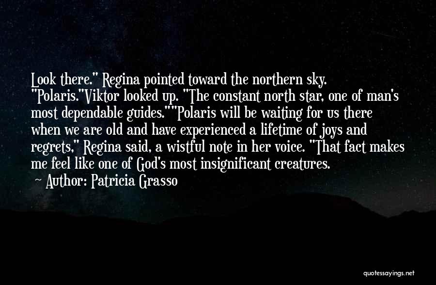 Look Up The Sky Quotes By Patricia Grasso