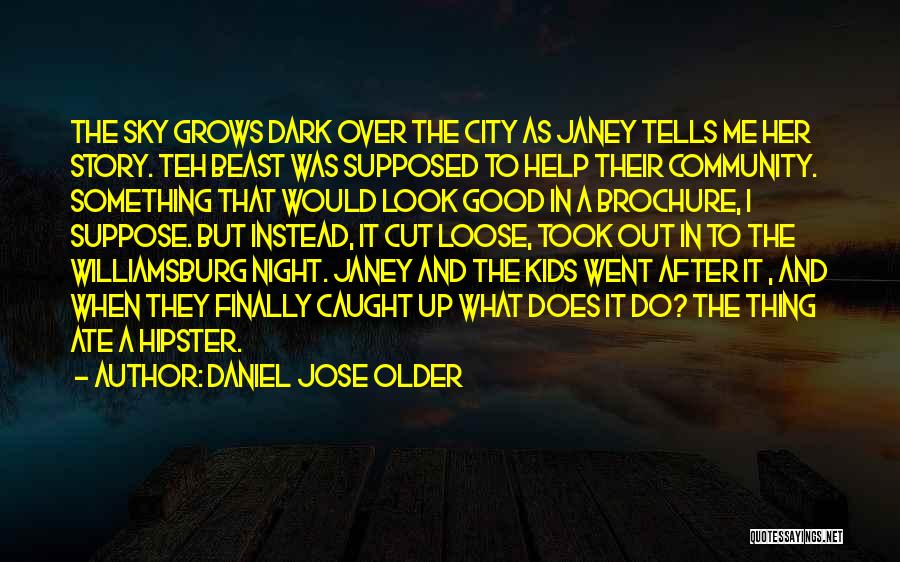 Look Up To The Sky Quotes By Daniel Jose Older