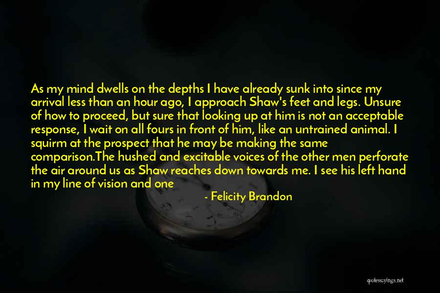 Look Upwards Quotes By Felicity Brandon Look Upwards Quotes By Felicity Brandon