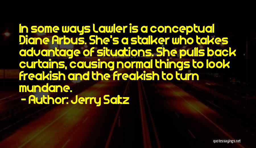 Look Who's Back Quotes By Jerry Saltz