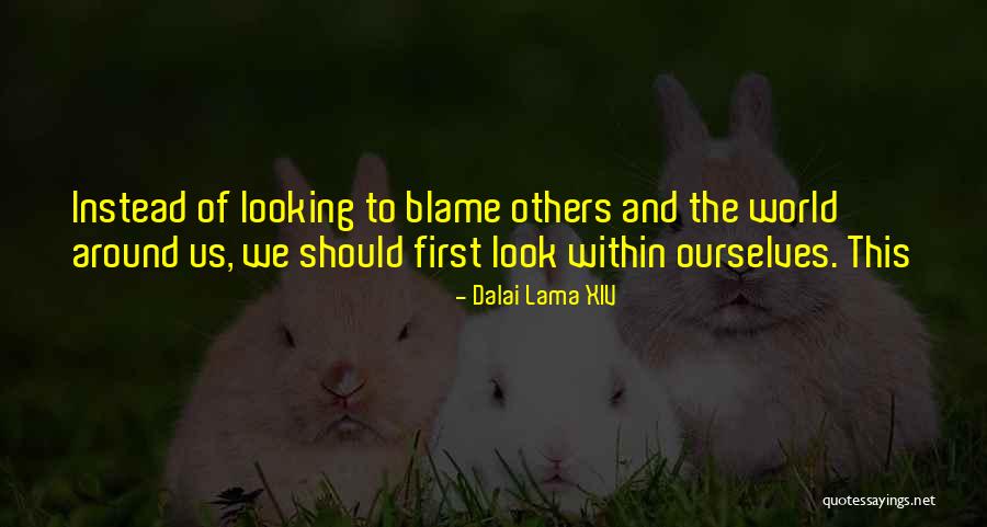 Look Within Quotes By Dalai Lama XIV Look Within Quotes By Dalai Lama XIV