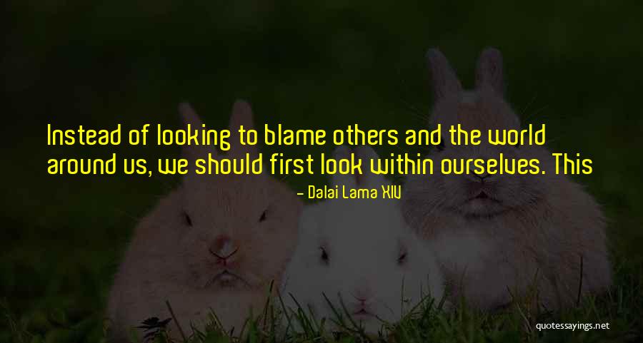 Look Within Quotes By Dalai Lama XIV