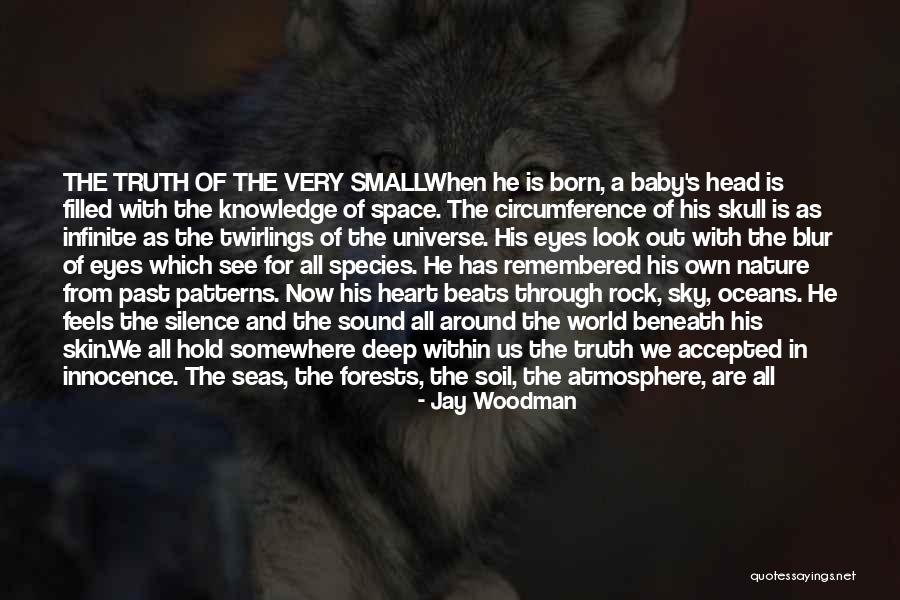 Look Within Quotes By Jay Woodman Look Within Quotes By Jay Woodman