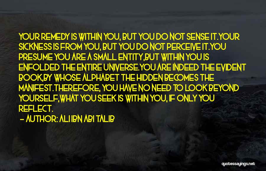 Look Within Yourself Quotes By Ali Ibn Abi Talib