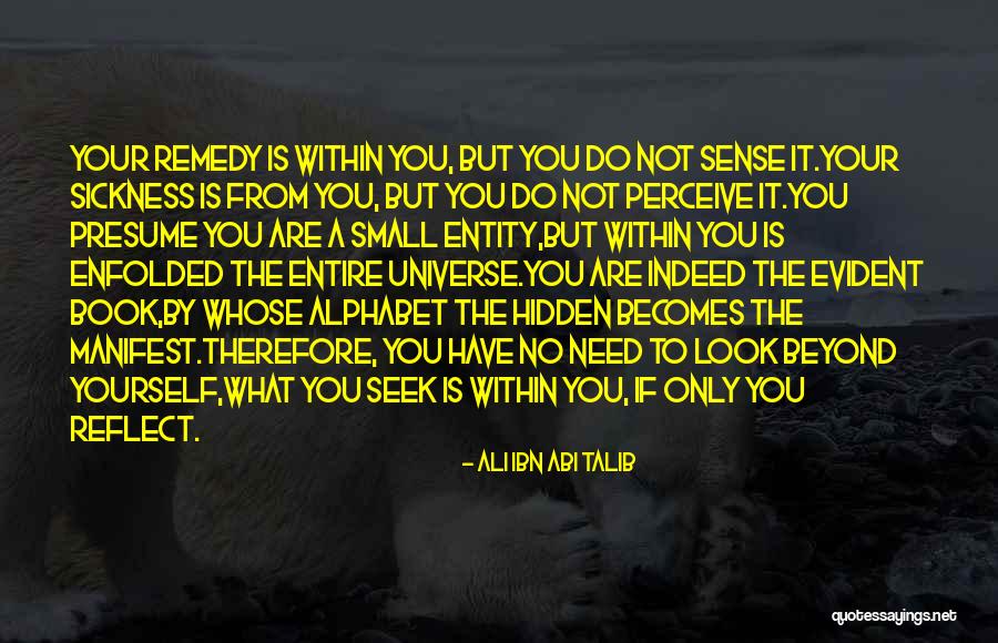 Look Within Yourself Quotes By Ali Ibn Abi Talib