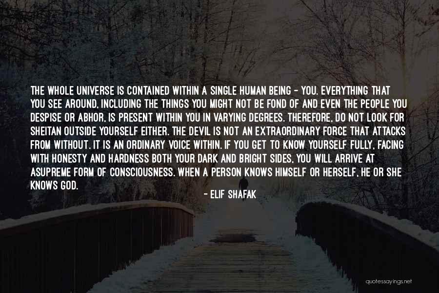 Look Within Yourself Quotes By Elif Shafak