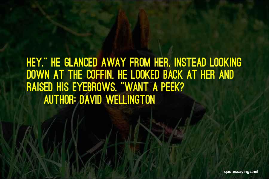 Looked Away Quotes By David Wellington