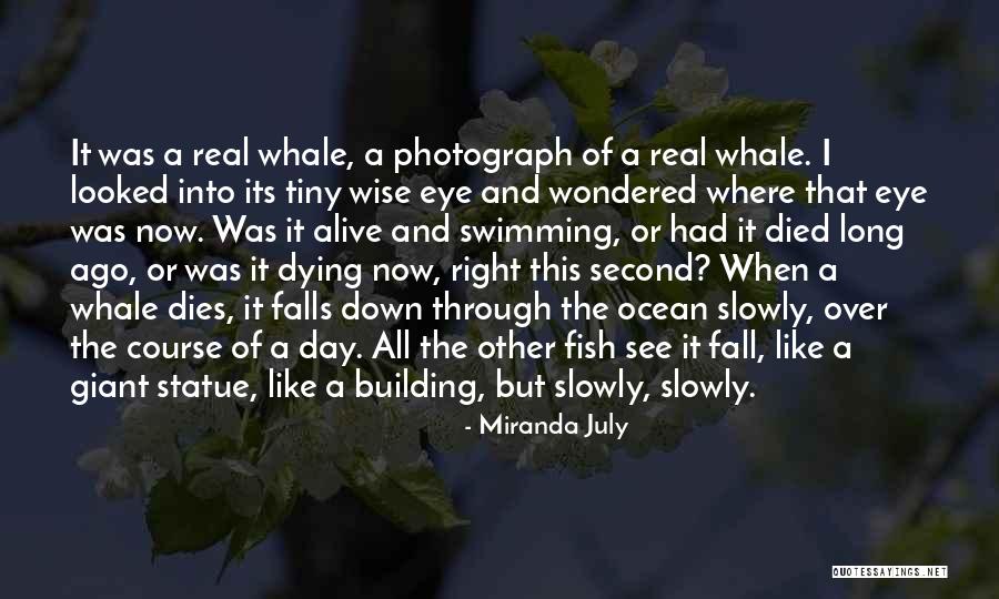 Looked Right Now Quotes By Miranda July Looked Right Now Quotes By Miranda July