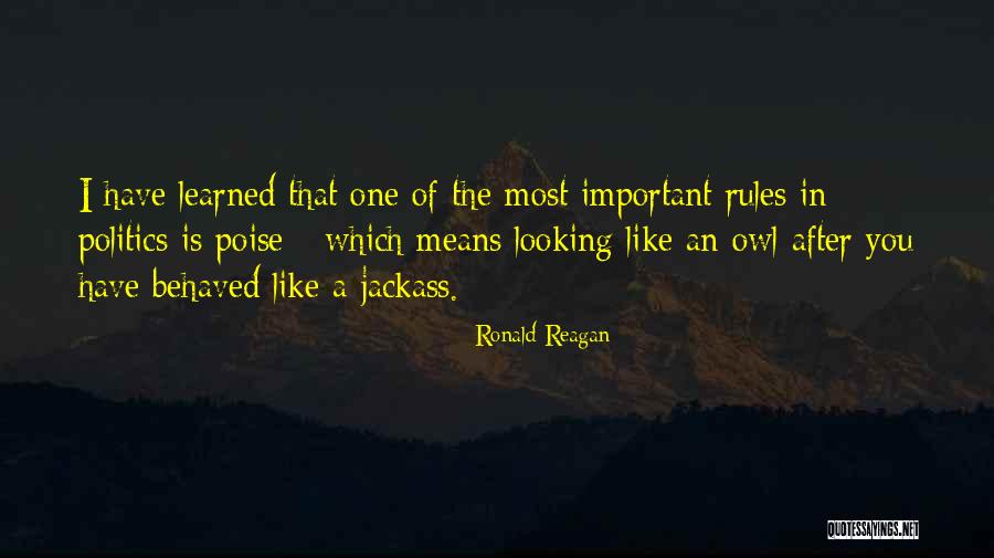 Looking After You Quotes By Ronald Reagan