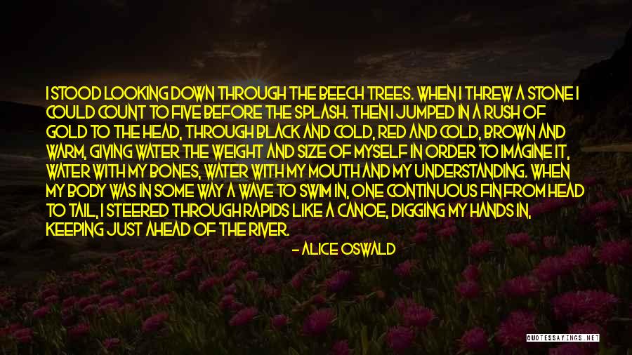 Looking Ahead Quotes By Alice Oswald Looking Ahead Quotes By Alice Oswald