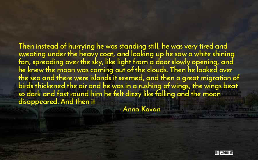Looking Ahead Quotes By Anna Kavan Looking Ahead Quotes By Anna Kavan