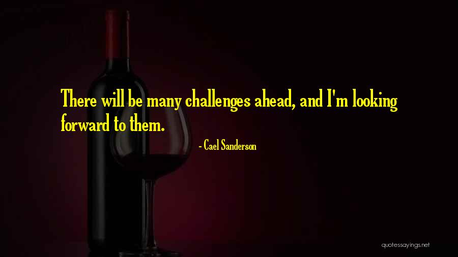 Looking Ahead Quotes By Cael Sanderson Looking Ahead Quotes By Cael Sanderson