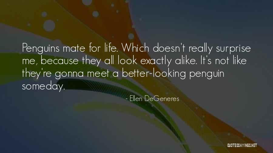 Looking Alike Quotes By Ellen DeGeneres Looking Alike Quotes By Ellen DeGeneres