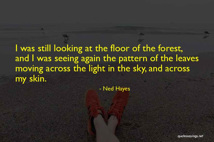 Looking And Seeing Quotes By Ned Hayes Looking And Seeing Quotes By Ned Hayes