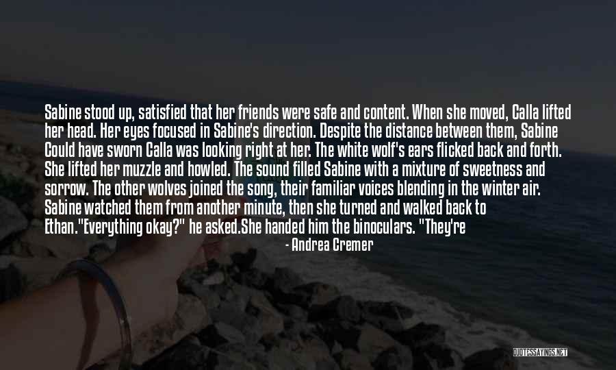 Looking At A Distance Quotes By Andrea Cremer Looking At A Distance Quotes By Andrea Cremer