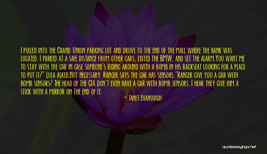 Looking At A Distance Quotes By Janet Evanovich Looking At A Distance Quotes By Janet Evanovich